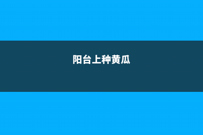 阳台种黄瓜常见病害及防治方法 (阳台上种黄瓜)