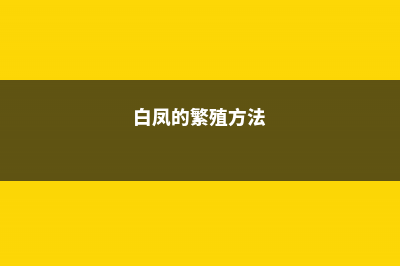 白凤的病虫害及其防治 (白凤的繁殖方法)