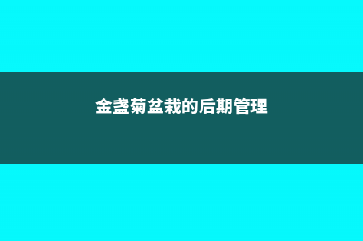 金盏菊病害防治方法 (金盏菊盆栽的后期管理)