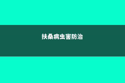 扶桑常见病害及防治方法 (扶桑病虫害防治)