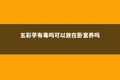 五彩芋(彩叶芋)病害防治方法 (五彩芋有毒吗可以放在卧室养吗)