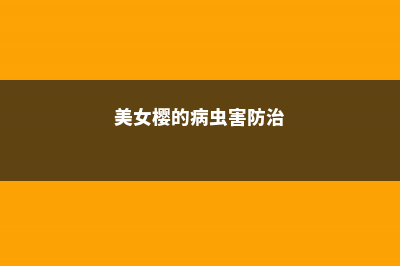 米兰花常见病害防治方法 (米兰花常见病症照片讲解)