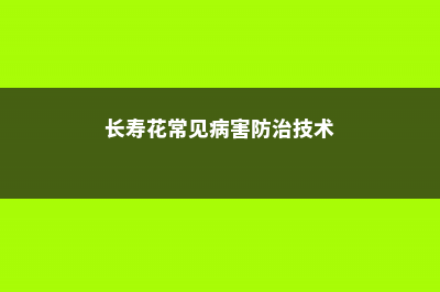 长寿花常见病害防治方法 (长寿花常见病害防治技术)