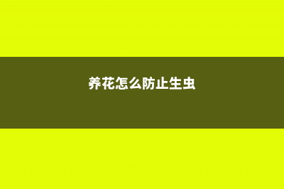 养花怎样防治病虫害 (养花怎么防止生虫)