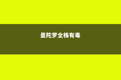 曼陀罗常见病虫害防治 (曼陀罗全株有毒)