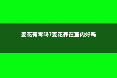 姜花的病虫害防治 (姜花有毒吗?姜花养在室内好吗)