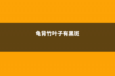 龟背竹叶子有黑斑怎么回事，有黑斑怎么办 (龟背竹叶子有黑斑)