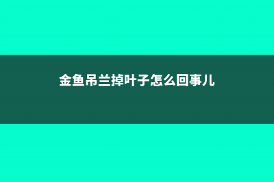 多肉掉叶片是什么原因，怎么办 (多肉植物掉叶片)