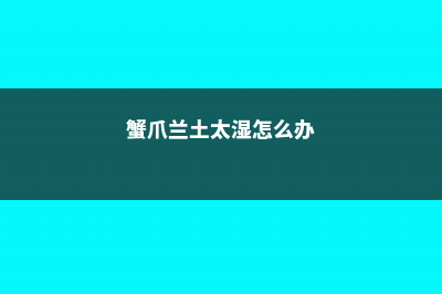 蟹爪兰土壤生小飞虫怎么办，土壤能用鸡蛋壳吗 (蟹爪兰土太湿怎么办)