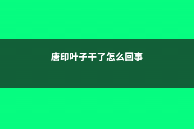 唐印叶子软怎么回事 (唐印叶子干了怎么回事)