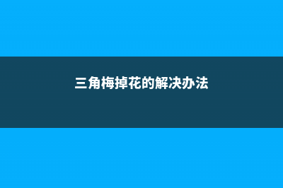 三角梅掉花的解决办法 (三角梅掉花的解决办法)