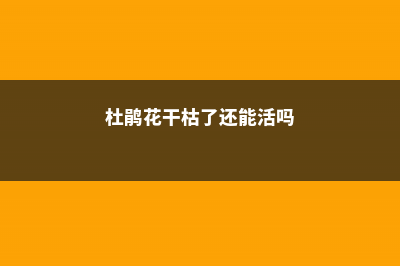 杜鹃花干枯掉怎么救，干枯的杜鹃花能活吗？ (杜鹃花干枯了还能活吗)