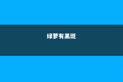 绿萝出现黑斑什么原因 (绿萝有黑斑)