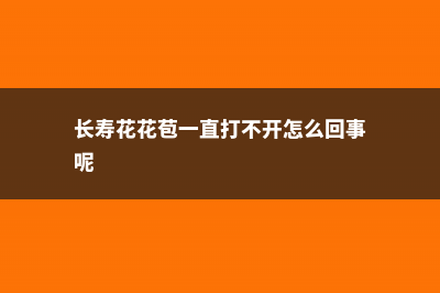 长寿花花苞一直不开怎么解决 (长寿花花苞一直打不开怎么回事呢)