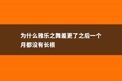 为什么雅乐之舞长的慢，生长季是什么 (为什么雅乐之舞差更了之后一个月都没有长根)