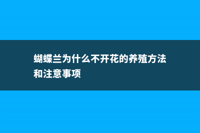 蝴蝶兰为什么不开花 (蝴蝶兰为什么不开花的养殖方法和注意事项)