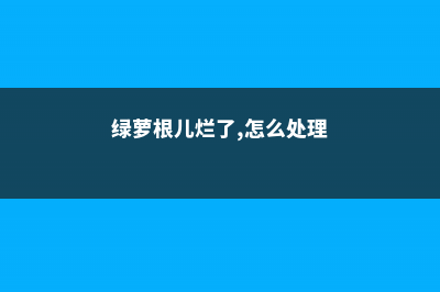 养的绿萝根烂了怎么办，烂根不翻盆可以吗 (绿萝根儿烂了,怎么处理)