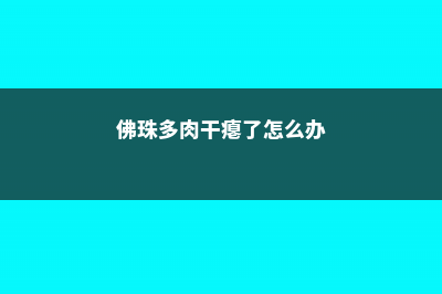 佛珠多肉烂了怎么办，喜水吗？ (佛珠多肉干瘪了怎么办)