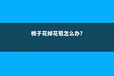 栀子花掉蕾是什么原因 (栀子花掉花苞怎么办?)