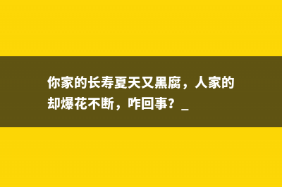 你家的长寿夏天又黑腐，人家的却爆花不断，咋回事？ 