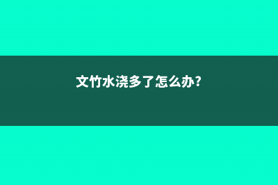 文竹水浇多了怎么办 (文竹水浇多了怎么办?)