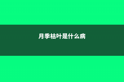 月季枯叶不是病，补完这些小东西，立马窜芽开花！ (月季枯叶是什么病)