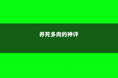 你家的多肉说死就死，人家的却连爆5盆，咋回事？ (养死多肉的神评)