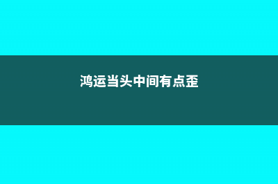 鸿运当头长歪了怎么办 (鸿运当头中间有点歪)