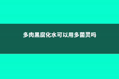 多肉黑腐还化水，1招就能起死回生，爆到夏天不用愁！ (多肉黑腐化水可以用多菌灵吗)