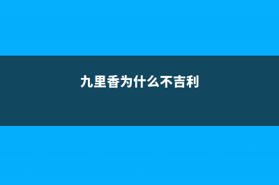 九里香为什么不开花 (九里香为什么不吉利)