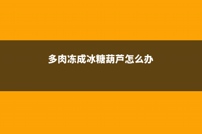 多肉冻成冰糖葫芦，简单1步，竟然打了鸡血似的活了！ (多肉冻成冰糖葫芦怎么办)