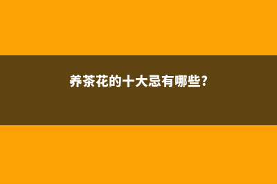 养茶花，你竟然不懂这3件事？难怪养一盆死一盆！ (养茶花的十大忌有哪些?)