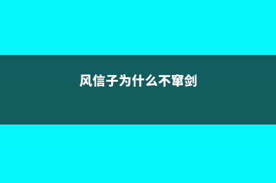 风信子为什么不长根 (风信子为什么不窜剑)