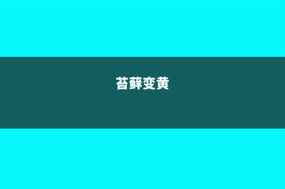 苔藓发黄、发白、发黑是怎么回事 (苔藓变黄)