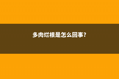 多肉烂根、徒长、黑腐…这样做，分分钟救活 (多肉烂根是怎么回事?)