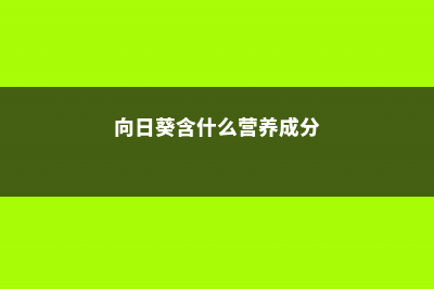 草莓不甜怎么办 (草莓冻了还能吃吗)