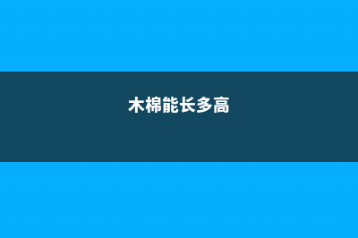 木棉长得慢怎么办 (木棉能长多高)