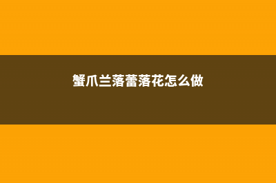 蟹爪兰落蕾、落苞超全攻略，太全太实用了 (蟹爪兰落蕾落花怎么做)