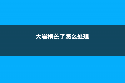 大岩桐蔫了怎么办 (大岩桐蔫了怎么处理)