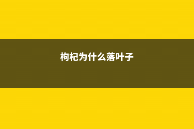 枸杞为什么会落花落叶落果 (枸杞为什么落叶子)