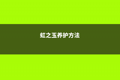 虹之玉养护常见问题及其解决方法 (虹之玉养护方法)