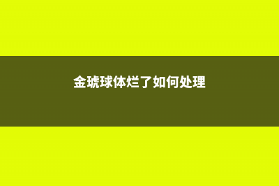 金琥球的刺变黑了是什么原因 (金琥球体烂了如何处理)