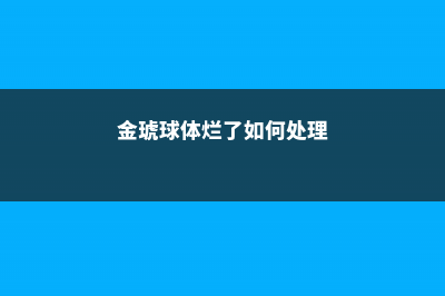 金琥球徒长了要怎么办 (金琥球体烂了如何处理)