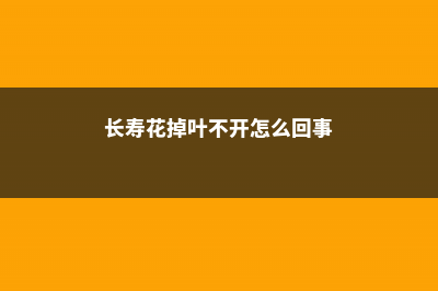 长寿花掉叶不开花，教你这样养，再也不生病 (长寿花掉叶不开怎么回事)