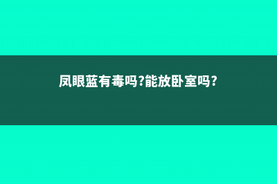 凤眼蓝有哪些危害 (凤眼蓝有毒吗?能放卧室吗?)