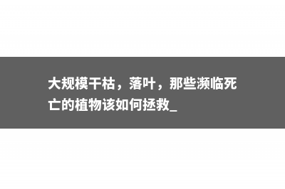 大规模干枯，落叶，那些濒临死亡的植物该如何拯救 