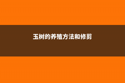 玉树的养殖方法和病虫害防治 (玉树的养殖方法和修剪)