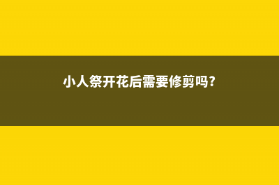 小人祭掉叶子是什么原因 (小人祭开花后需要修剪吗?)