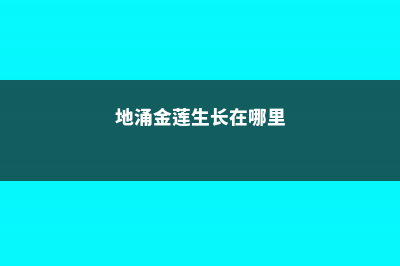 地涌金莲的病虫害及防治技巧 (地涌金莲生长在哪里)