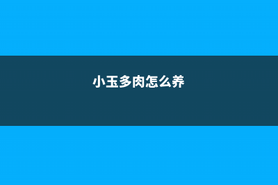 小玉徒长了怎么办 — (小玉多肉怎么养)